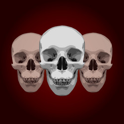 Similar image 6311456