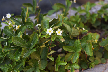 Similar image 6311486