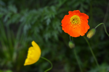 Similar image 6311487