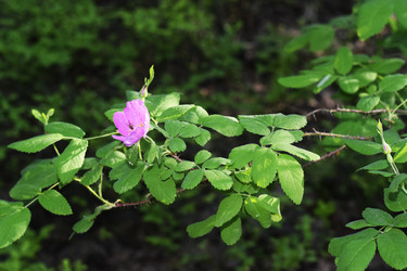 Similar image 6311489