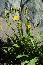 Similar image 6311490