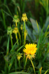 Similar image 6311491