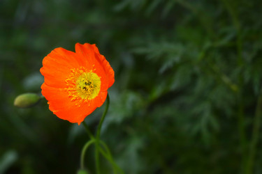 Similar image 6311492