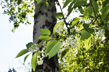 Similar image 6311495