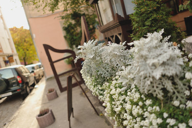 Similar image 6311500