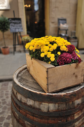 Similar image 6311501