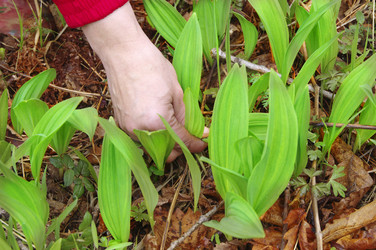 Similar image 6311516