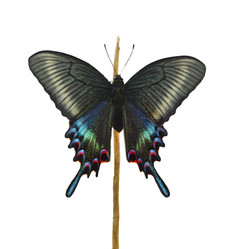 Similar image 6311521