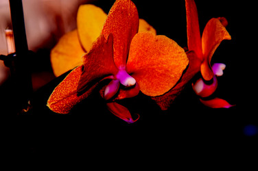 Similar image 6311523