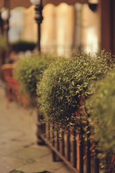 Similar image 6311528