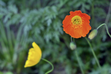 Similar image 6311534