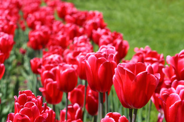 Similar image 6311555