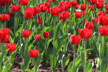 Similar image 6311556