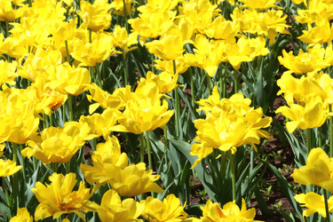 Similar image 6311558