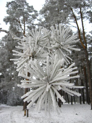 Similar image 6311609