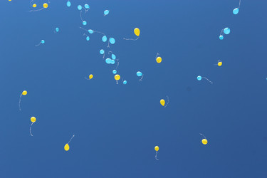 Similar image 6311610