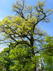 Similar image 6311618