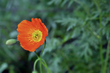 Similar image 6311753