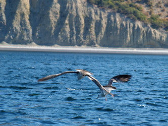 Similar image 6312004