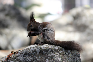 Similar image 6312005