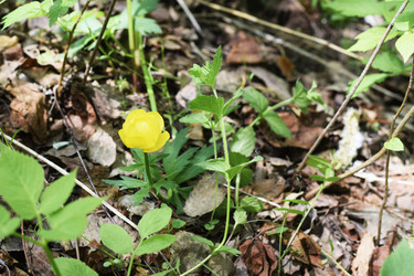 Similar image 6312006