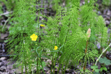 Similar image 6312007