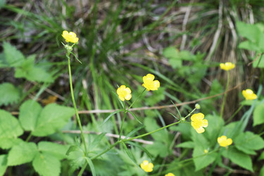 Similar image 6312008