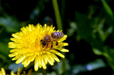 Similar image 6312013