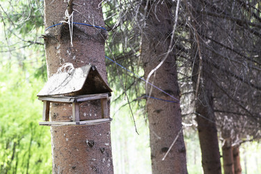 Similar image 6312015