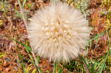 Similar image 6312057