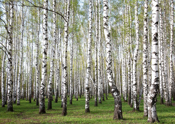 Similar image 6312074