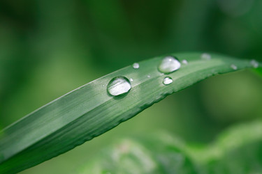 Similar image 6312080