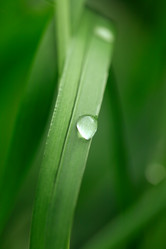 Similar image 6312081