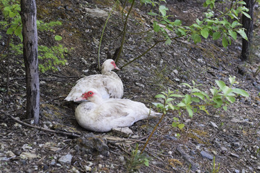 Similar image 6312092