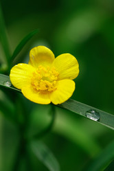 Similar image 6312177