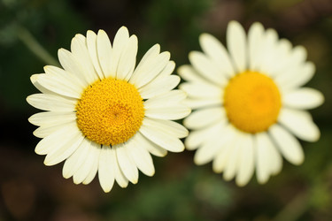 Similar image 6312215