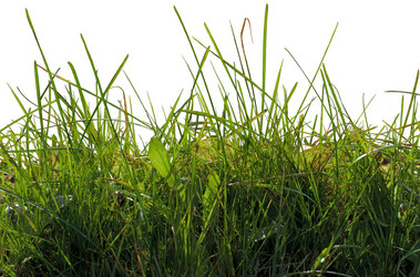 Similar image 6312229