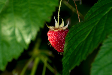 Similar image 6312230