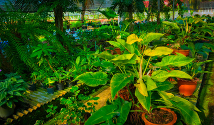 Similar image 6312239