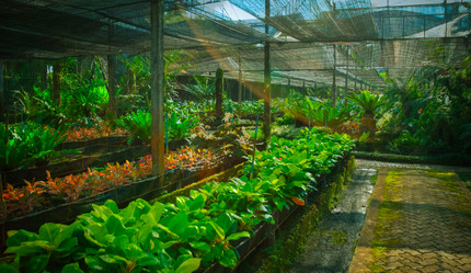 Similar image 6312272