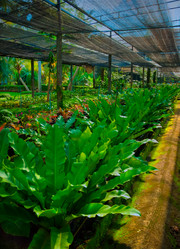 Similar image 6312276