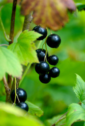 Similar image 6312277