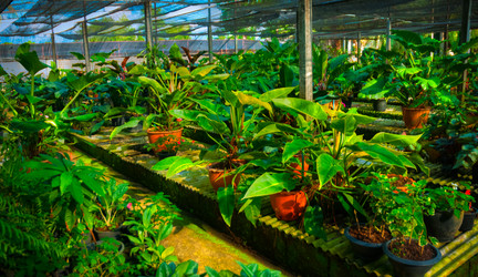 Similar image 6312278