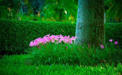 Similar image 6312281