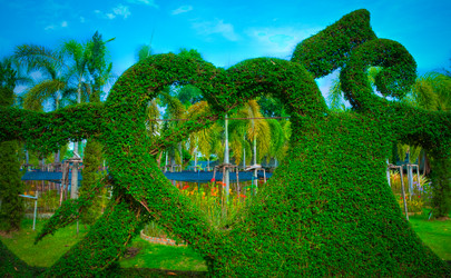 Similar image 6312283