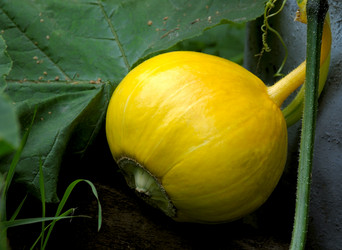 Similar image 6312291