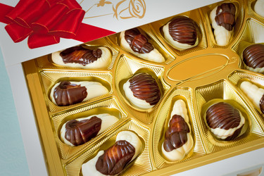 Similar image 6312316