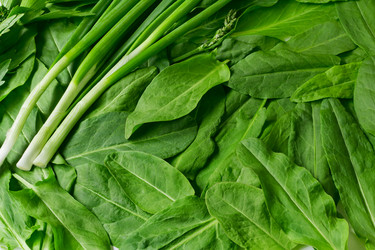 Similar image 6312322