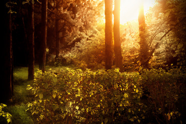 Similar image 6312448