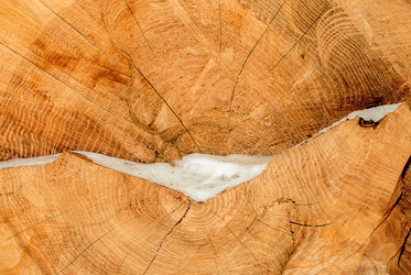 Similar image 6312450